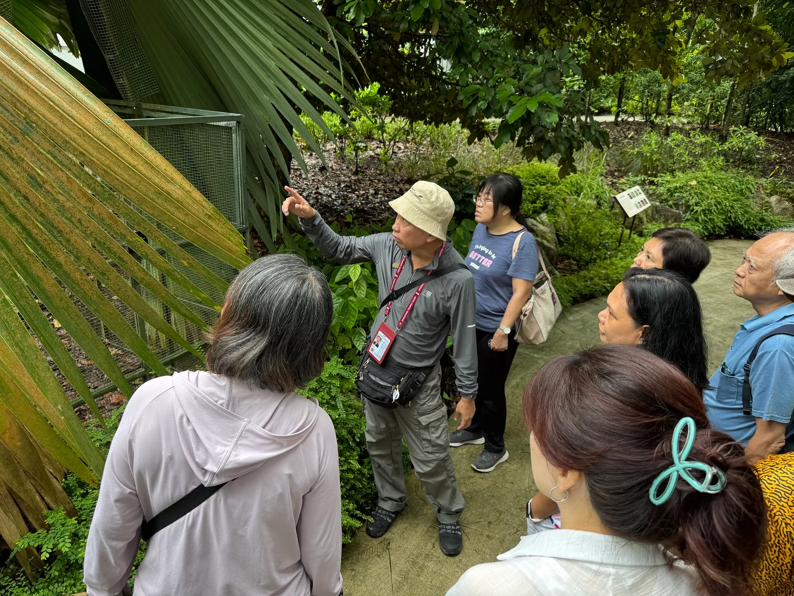 A Serai guide pointing out a detail on a Singapore Botanic Gardens walk