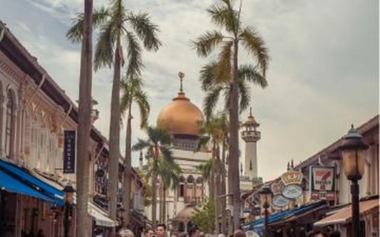 Private walking tour Singapore: your own licensed guide on a private heritage walk through Singapore's neighbourhoods