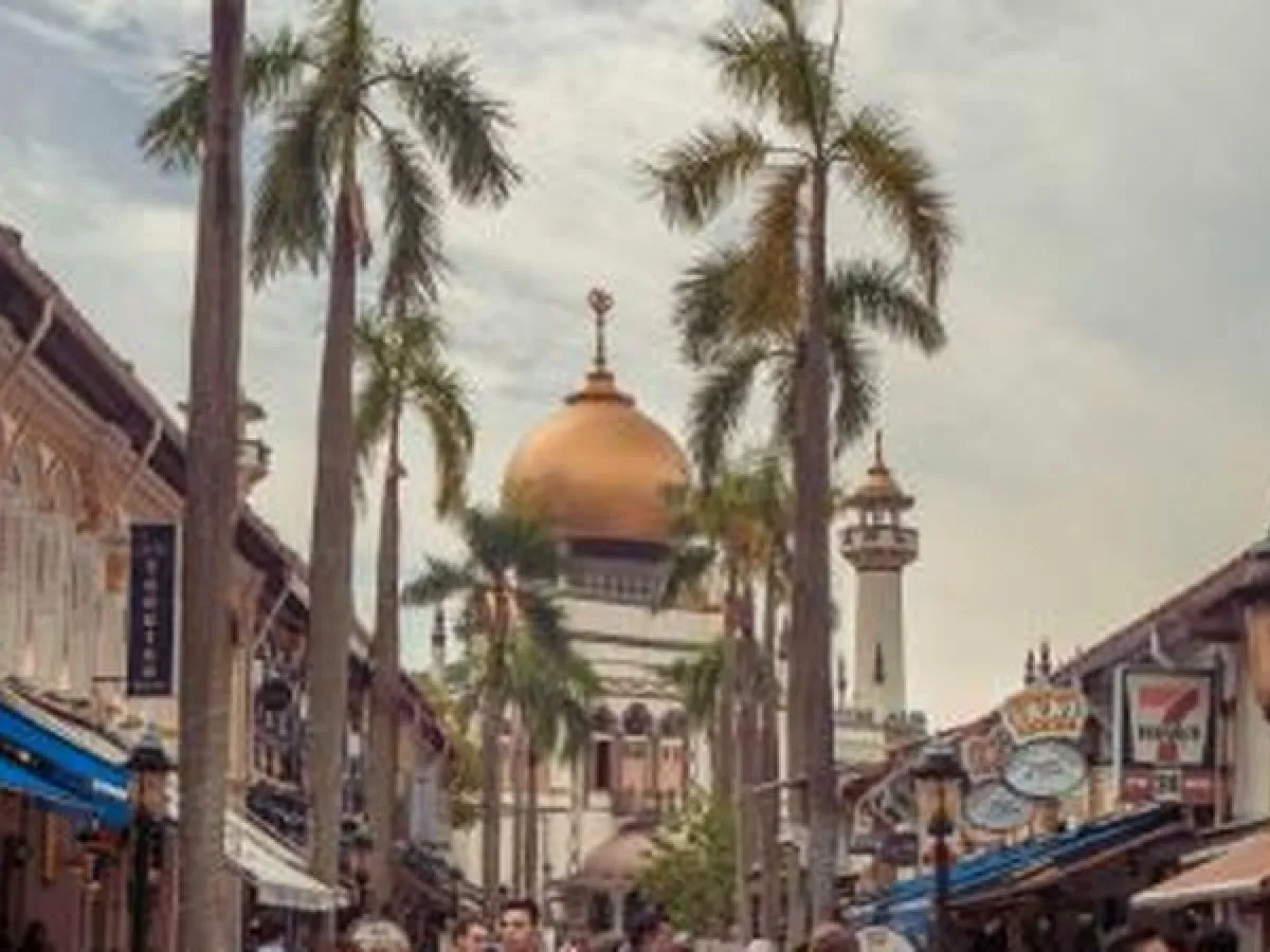 Private walking tour Singapore: your own licensed guide on a private heritage walk through Singapore's neighbourhoods
